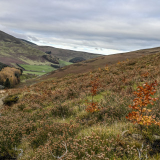 Habitat conservation