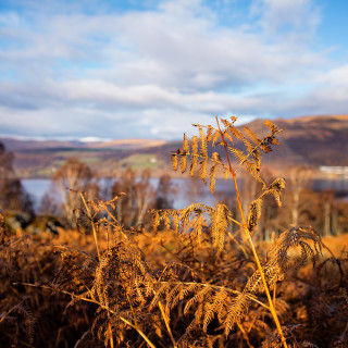 Reduced risk of flooding