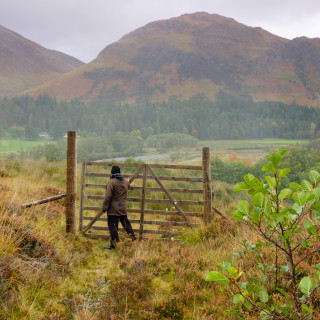 Public access to green space
