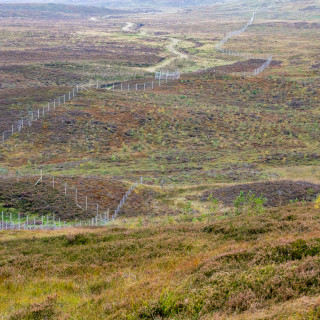 Diversify income for landowners 