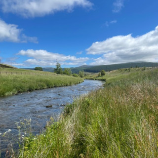 Improve water quality